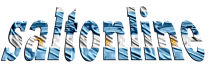Saltonline desde 1998